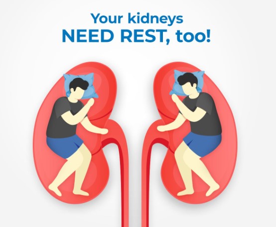 Kidney Package Profile